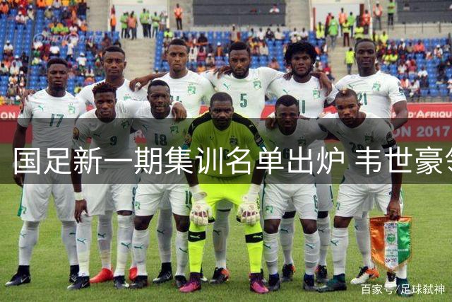 国足新一期集训名单出炉 韦世豪领衔多名小将入选